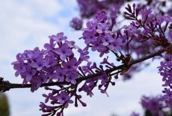 Καλό Μήνα!!!!